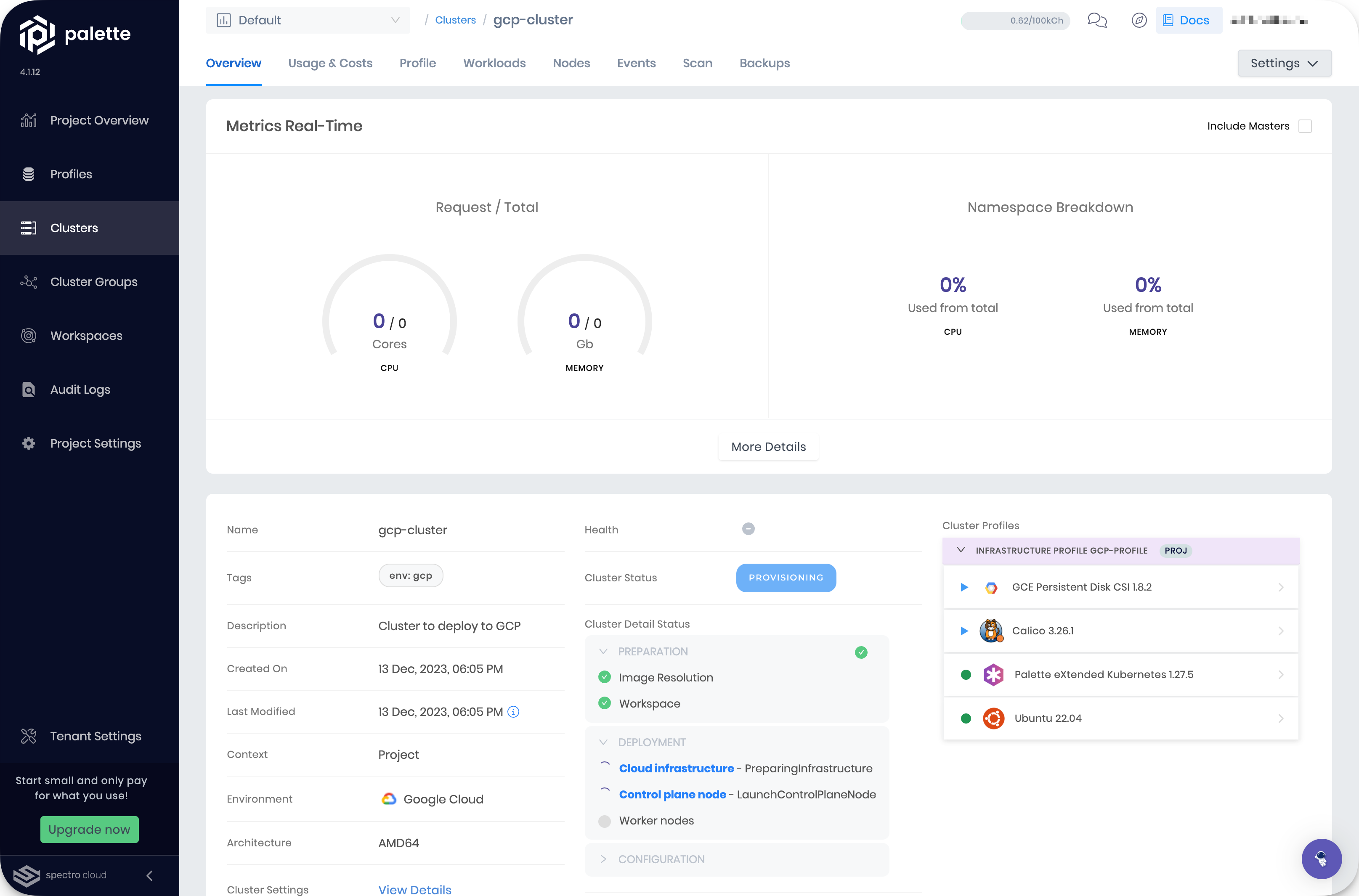 View of the cluster details page